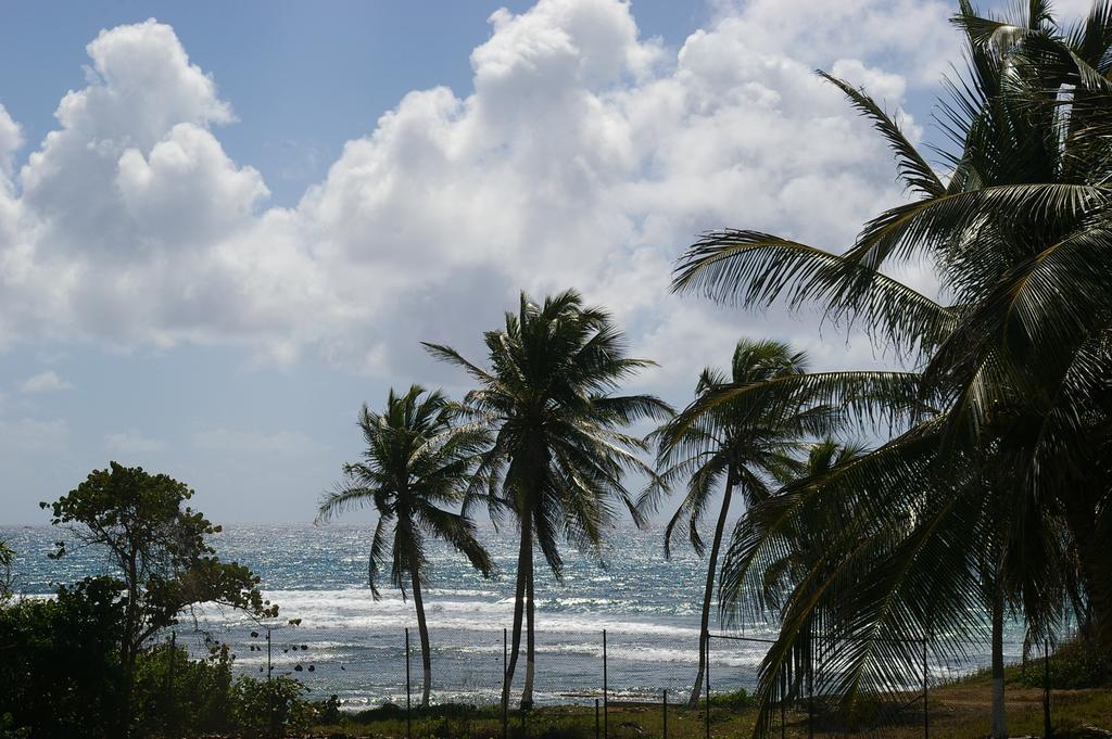 Lelagon Vue Mer, Pieds Dans L'Eau Saint-Francois  Exteriör bild